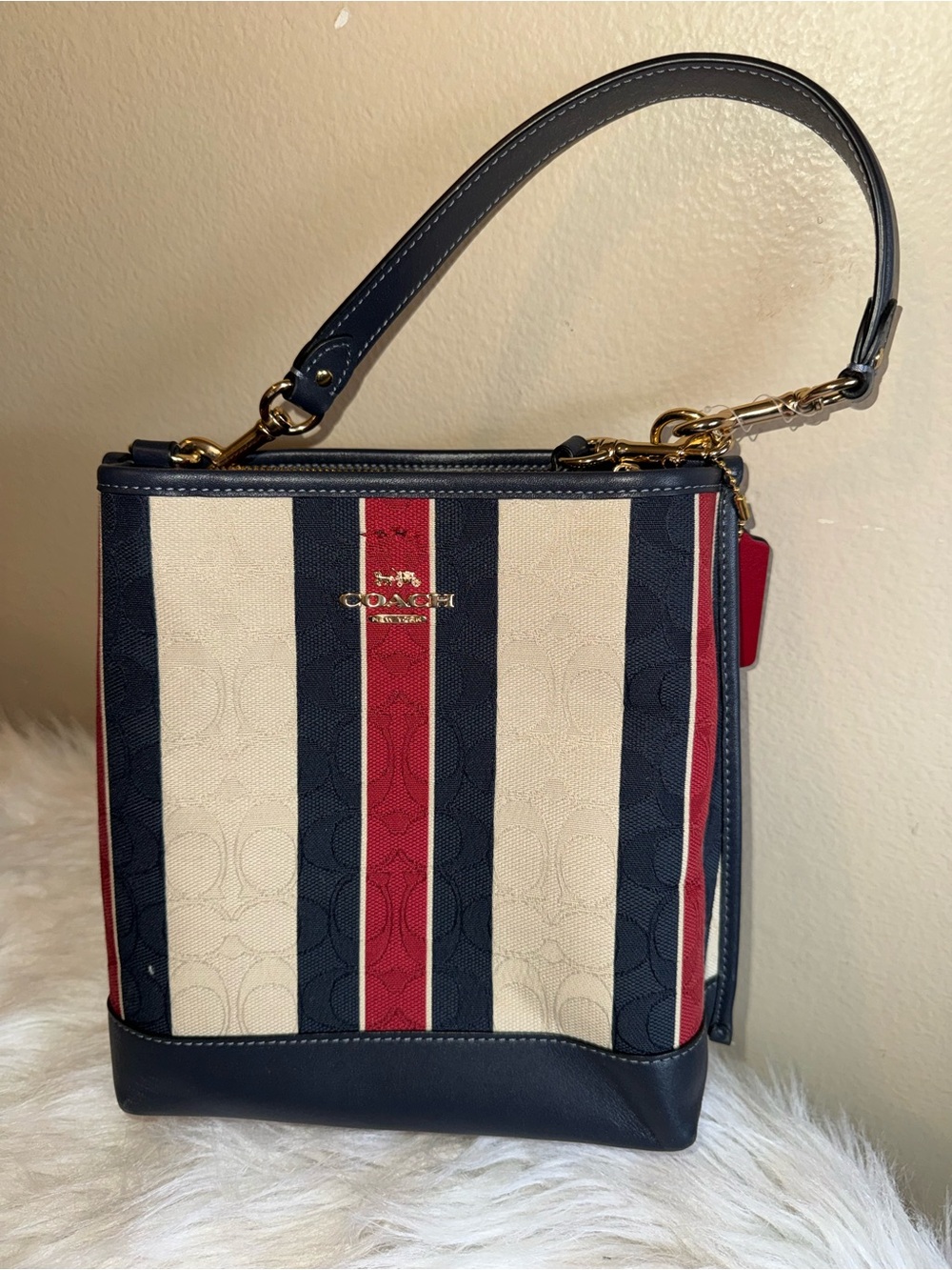 Coach Molly bucks bag